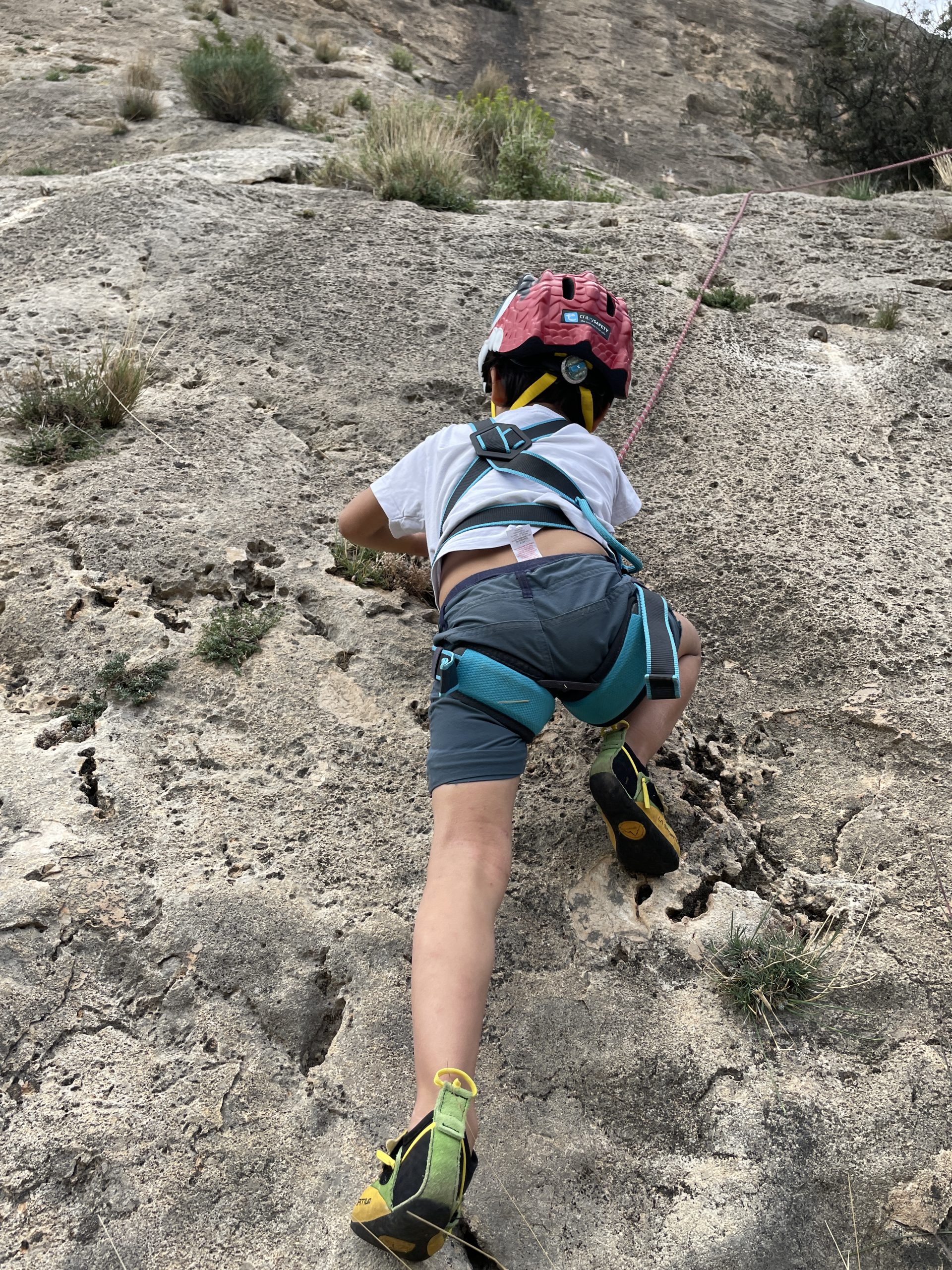 Beginners Guide To Rock Climbing With Kids Grow Adventures